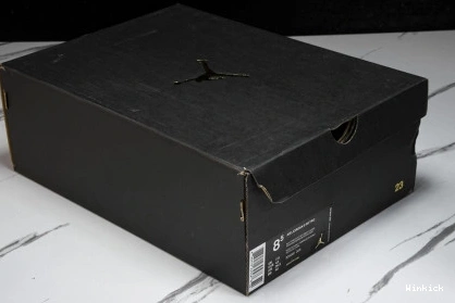 8  Aqua Jordan (2015) 305381-025 Retro 0825